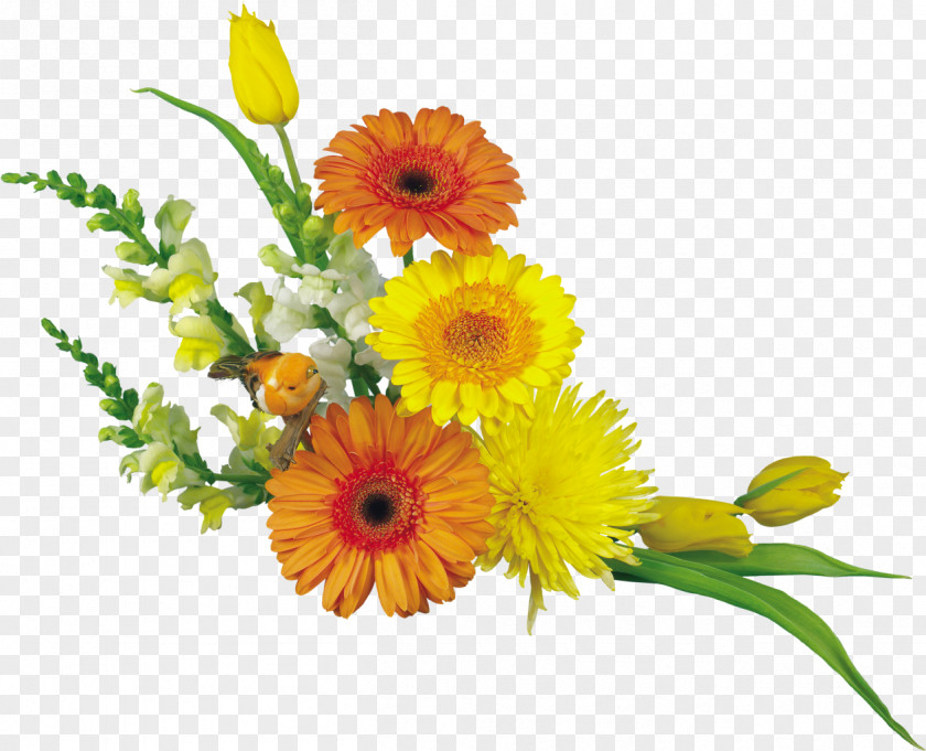 Gerbera Desktop Wallpaper Flower Bouquet Clip Art PNG