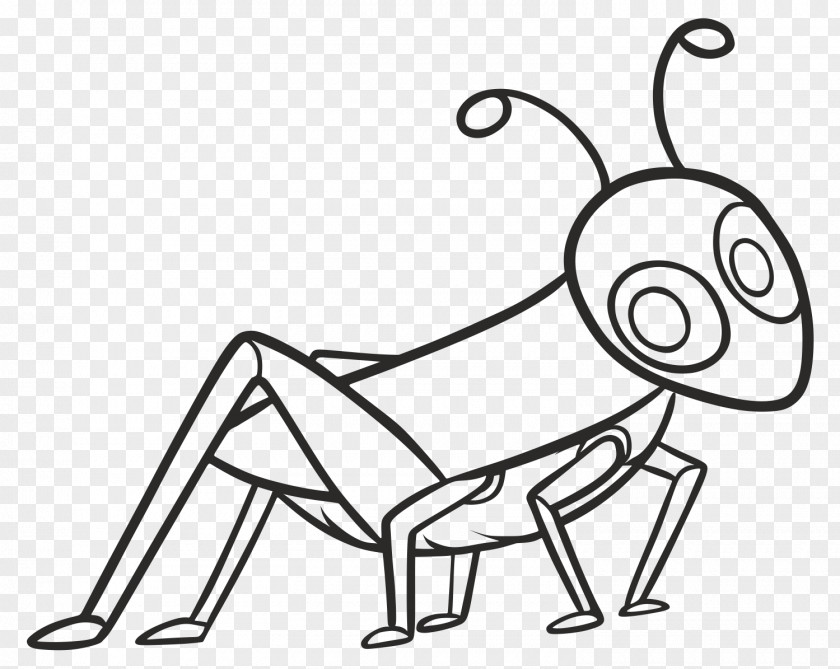 Grasshopper Drawing Clip Art PNG