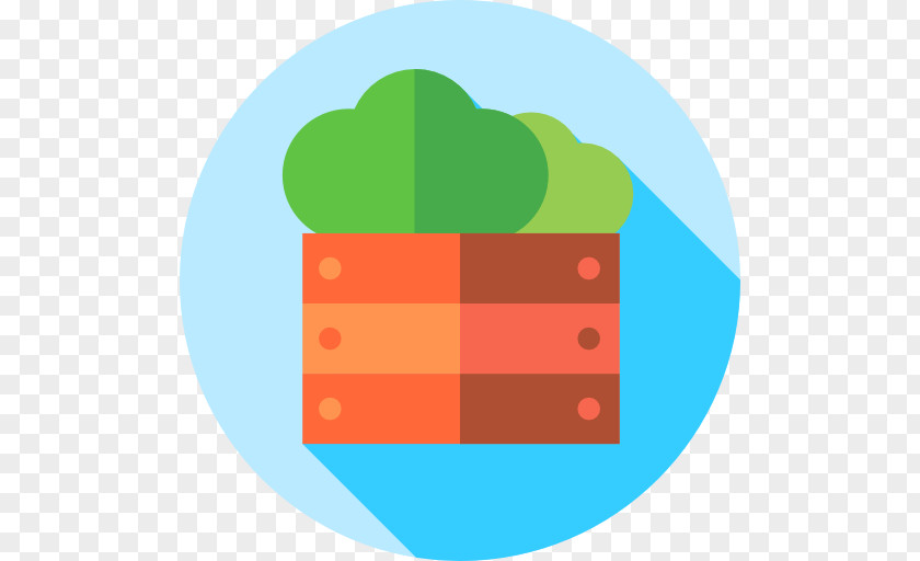 Lettuce Clip Art PNG