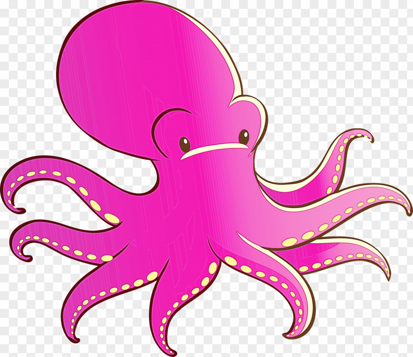 Octopus Giant Pacific Pink Magenta PNG