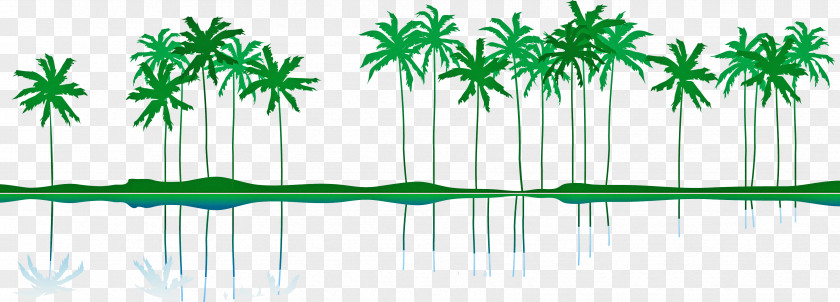 Palm Tree PNG