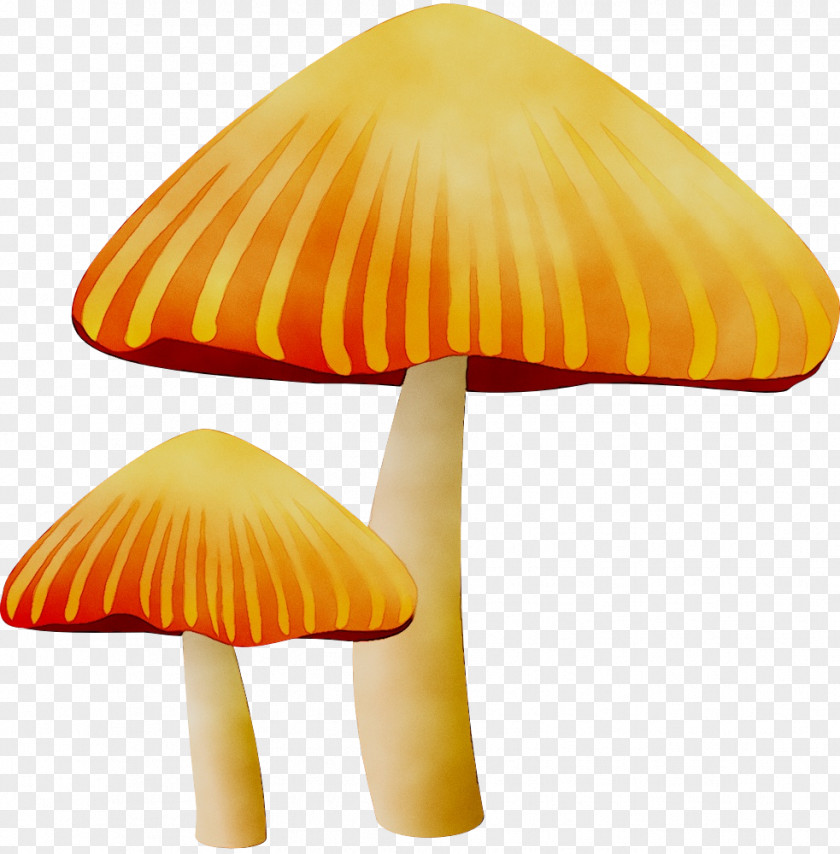 Stencil Fungus Paper Mushroom Pattern PNG