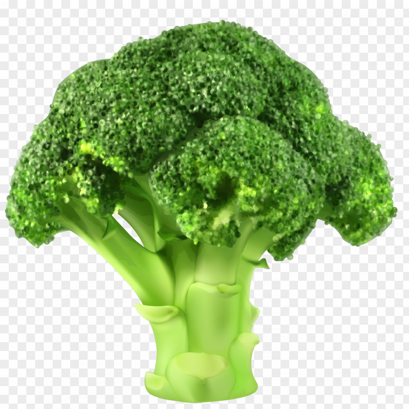 Cauliflower Broccoli Vegetable Clip Art PNG