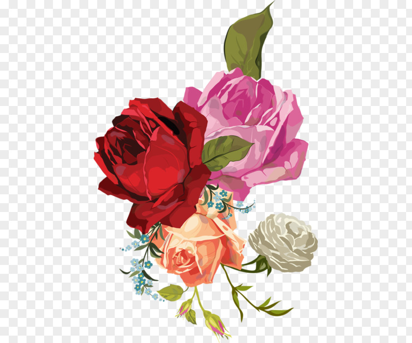 Flower Garden Roses Floral Design Centifolia Canvas PNG