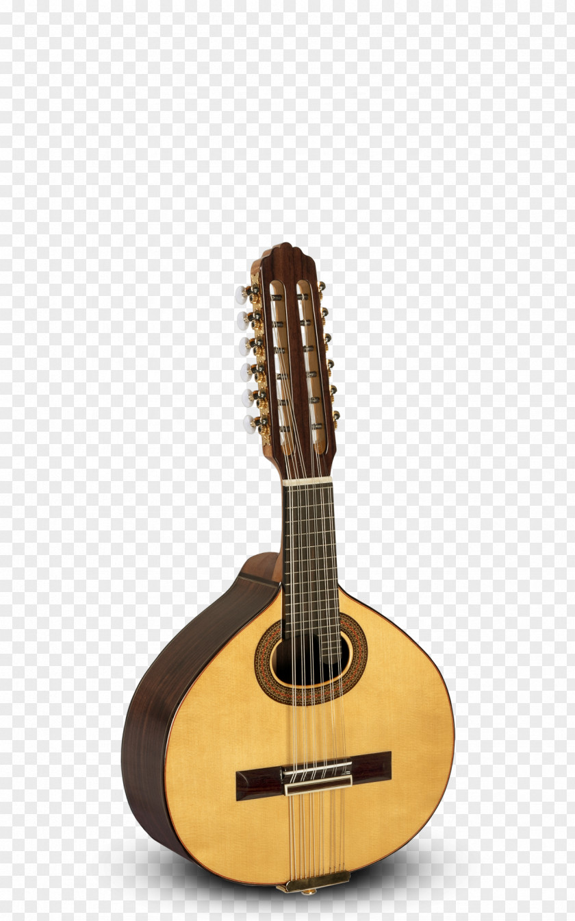 Indian Map Bandurria Classical Guitar Lute Mandolin PNG