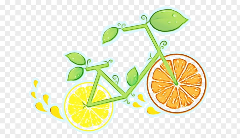 Lemon Citric Acid Lime Fruit Yellow PNG