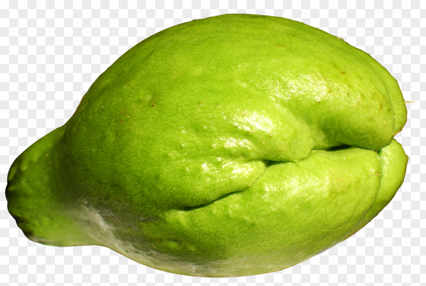 Satay Chayote Melon Vegetable Gourd PNG
