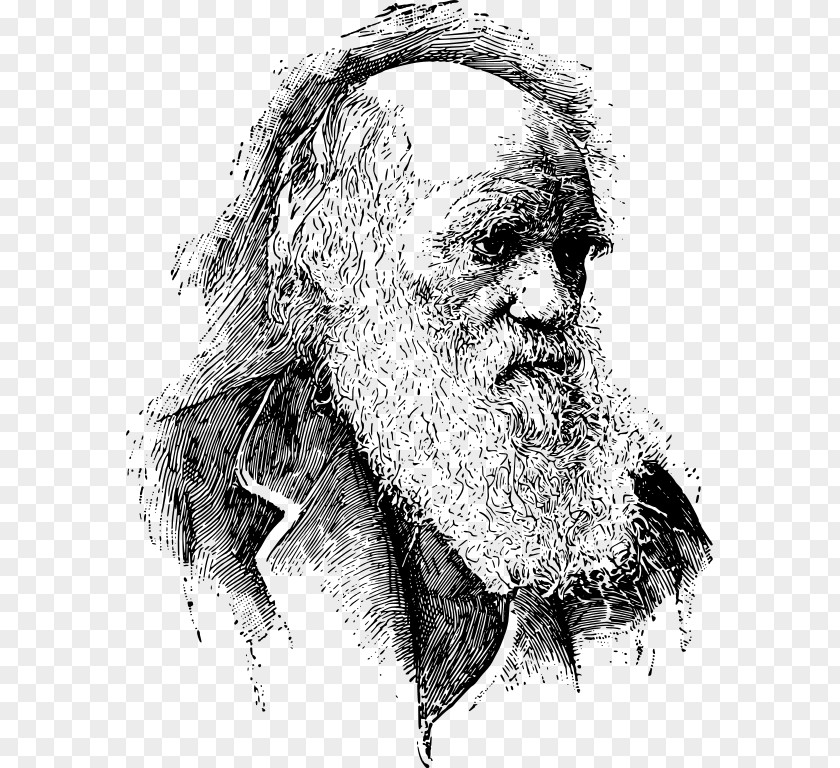 Charles Darwin On The Origin Of Species Evolutionary Medicine Psychology Darwinism PNG