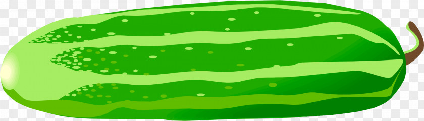 Cucumber Vegetable Zucchini Clip Art PNG