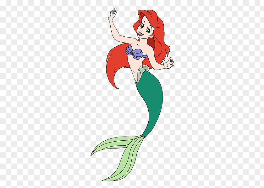 Mermaid Tail Ariel A Drawing Cartoon PNG