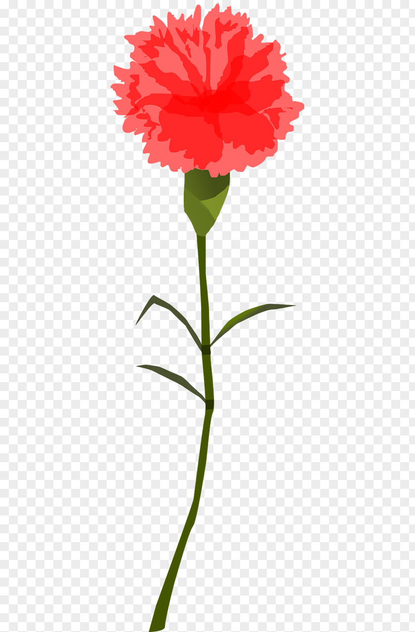 Red Flower Carnation Clip Art Openclipart Free Content PNG
