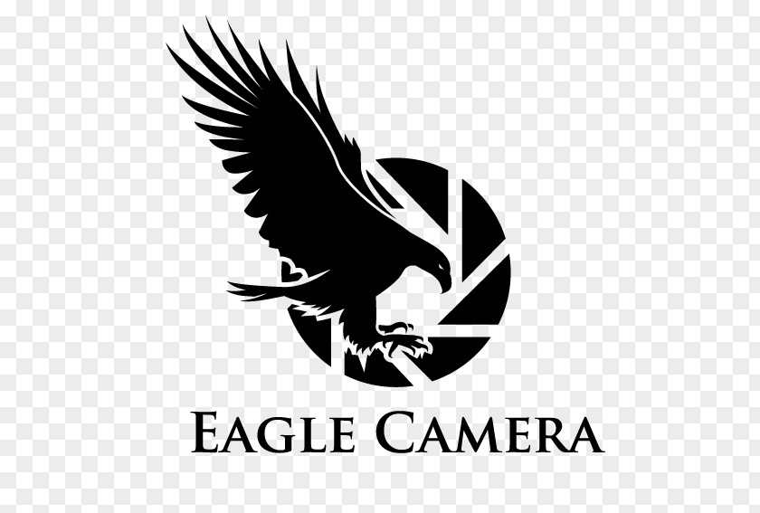 Creative Eagle Flag Logo Animal Illustration PNG
