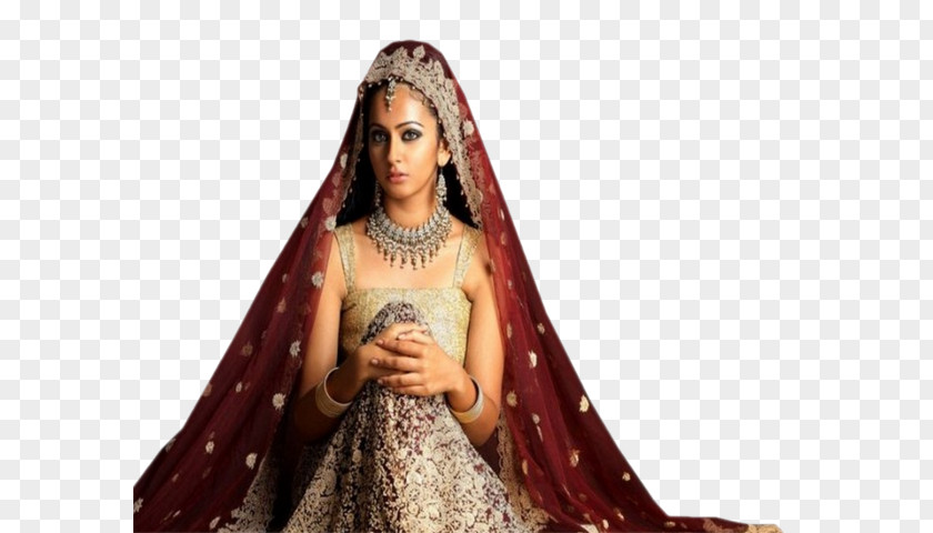 Indian Lady Zenginler Mahallesi Gown Time Tradition PNG