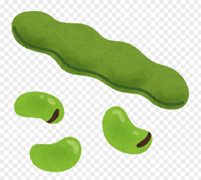 Job Hunting Food Broad Bean 自己PR いらすとや PNG