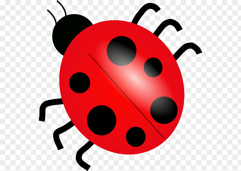 Ladybug Cliparts Backgrounds Free Content Ladybird Clip Art PNG
