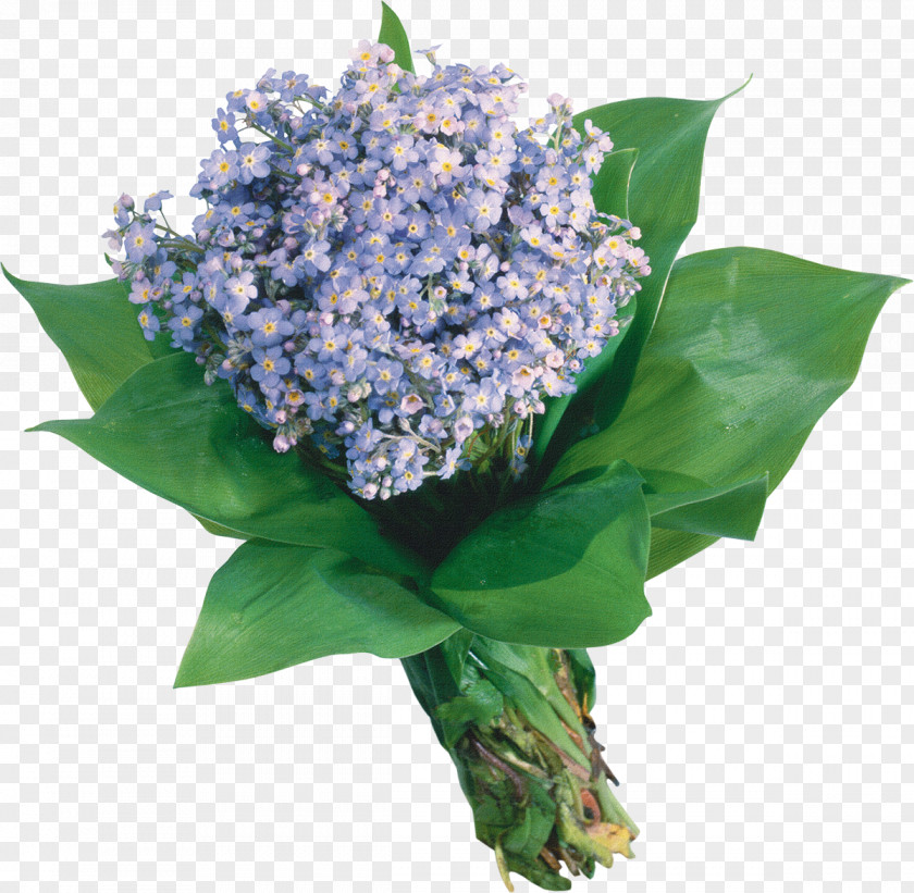 Lilac Flower Bouquet Scorpion Grasses Garden Roses Blue PNG