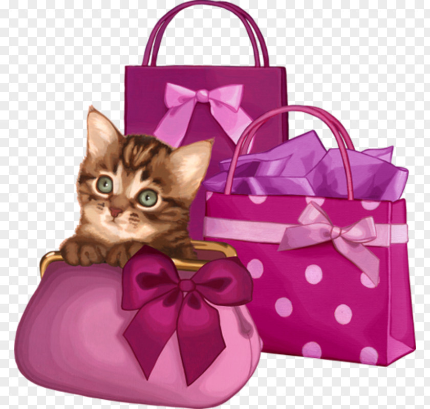 Luggage And Bags Small To Mediumsized Cats Background Birthday PNG