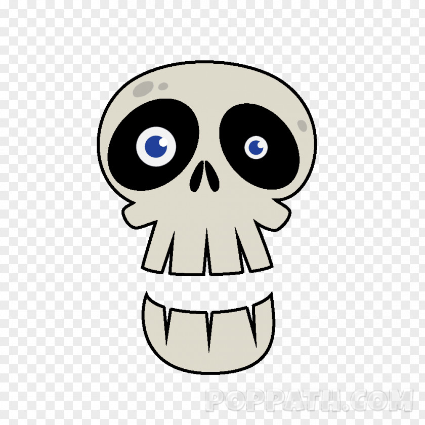 Nose Skull Jaw Drawing Clip Art PNG