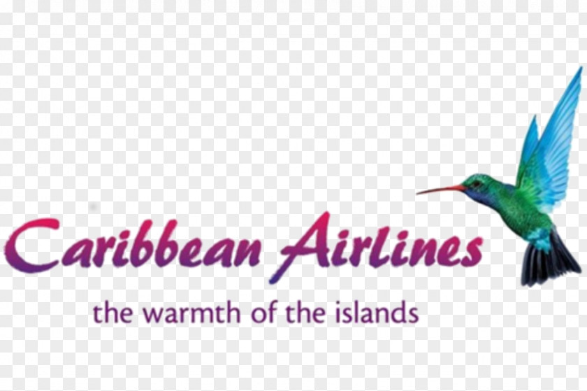 Piarco International Airport Cheddi Jagan Caribbean Airlines Lynden Pindling Flight PNG