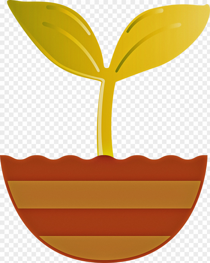 Sprout Bud Seed PNG