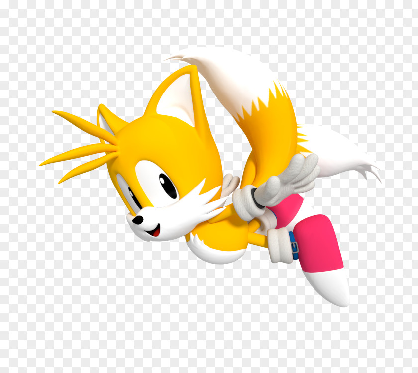 Tails Rendering Three-dimensional Space 3D Computer Graphics PNG