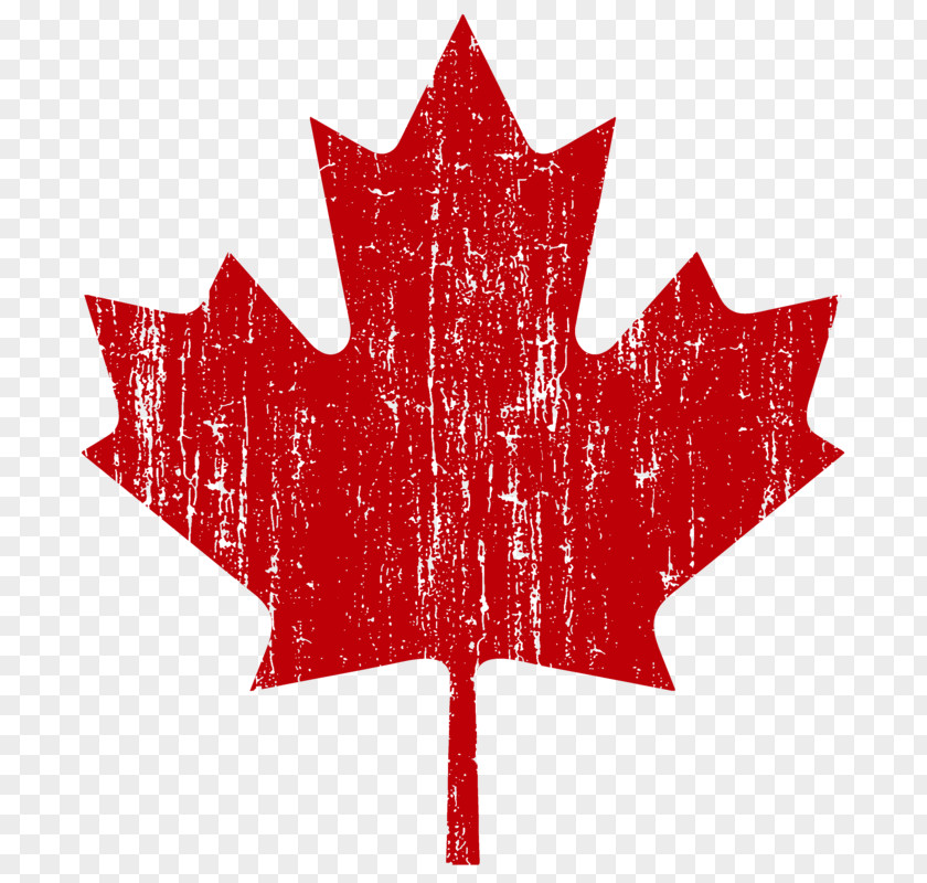 United States Flag Of Canada Thornton Grout Finnigan Maple Leaf PNG