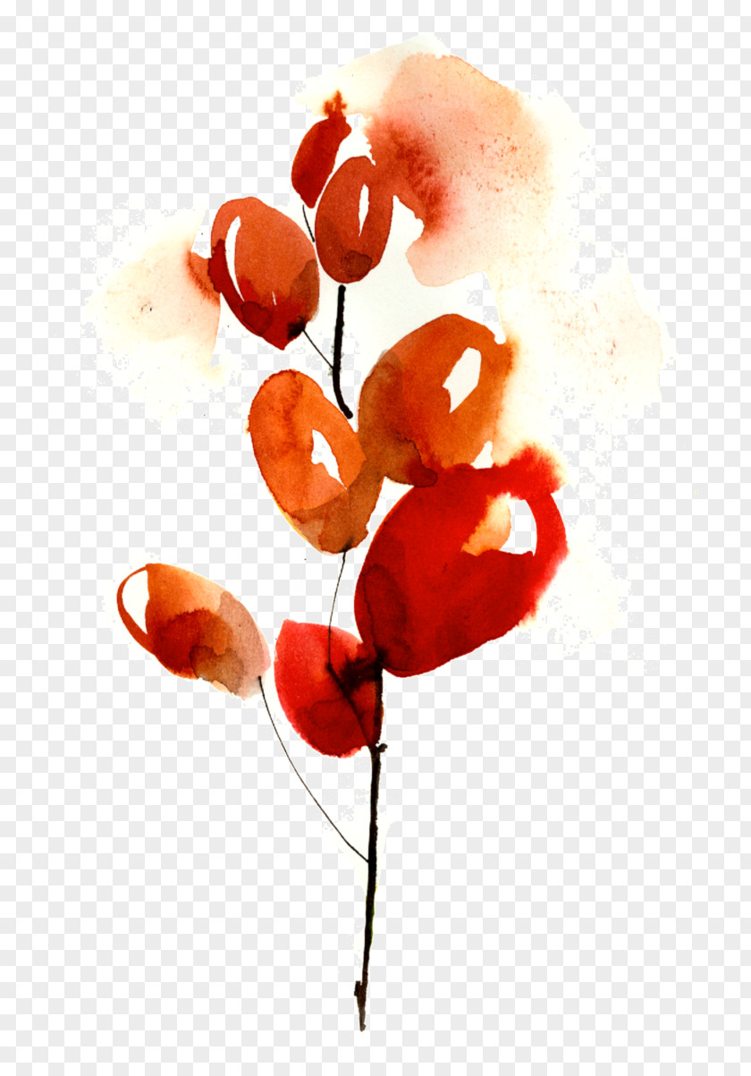 Watercolor Cherry Material Ostia Fruit Petal Painting Cut Flowers PNG
