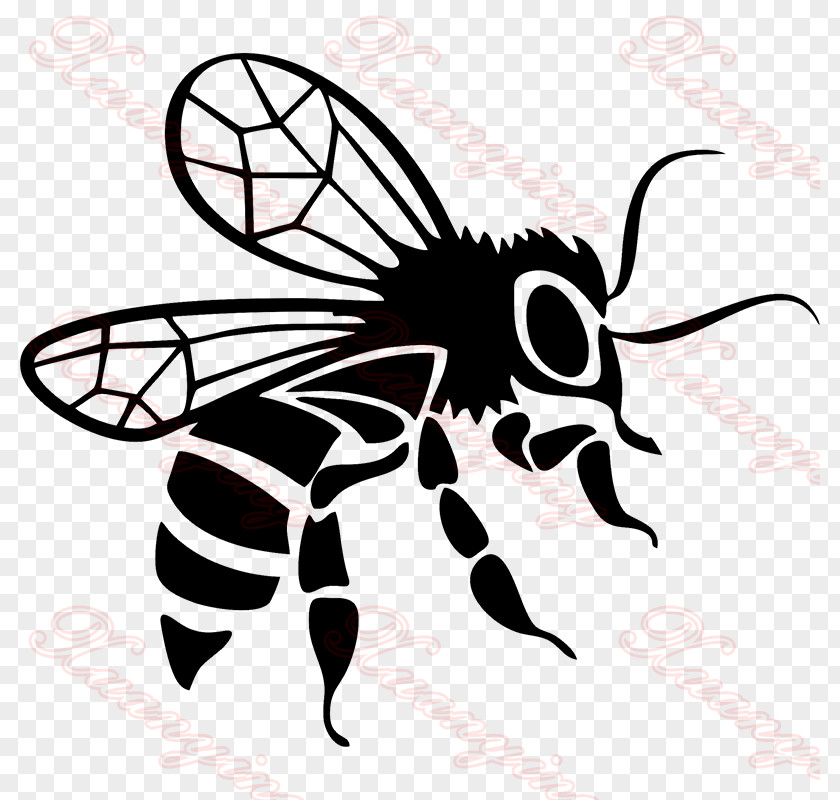 Bee Template Black Car Decal Bumper Sticker PNG