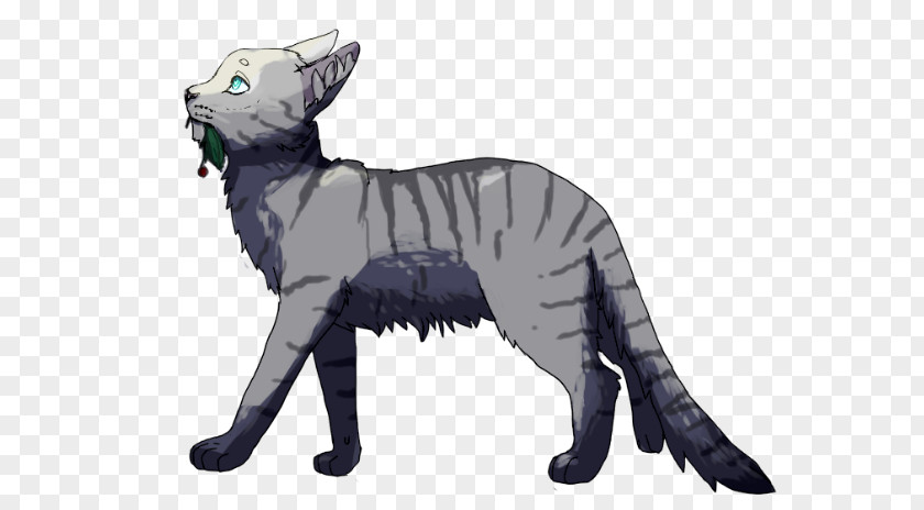 Cat Cats Of The Clans Jayfeather Warriors Erin Hunter PNG