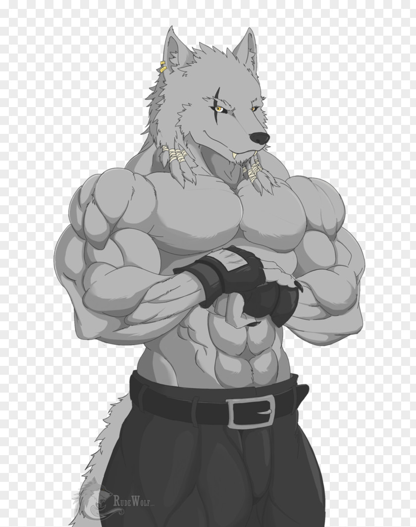 Cat Male DeviantArt Gray Wolf PNG