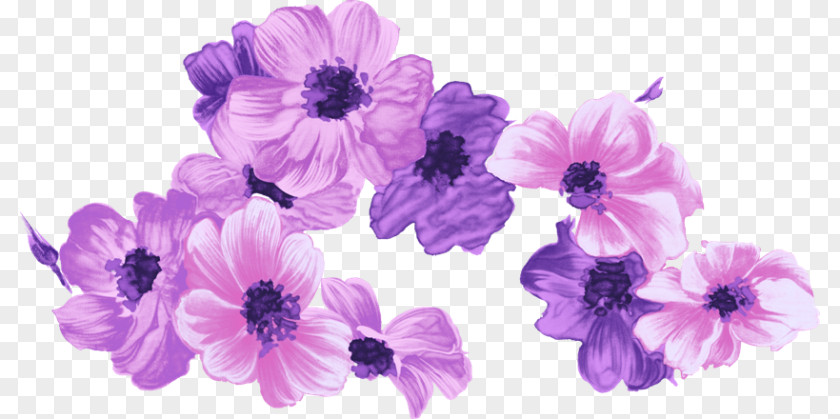Geranium Violet Family Purple Watercolor Flower PNG