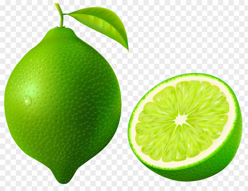 Green Lime Vector Clipart Image Persian Lemon-lime Drink Key PNG
