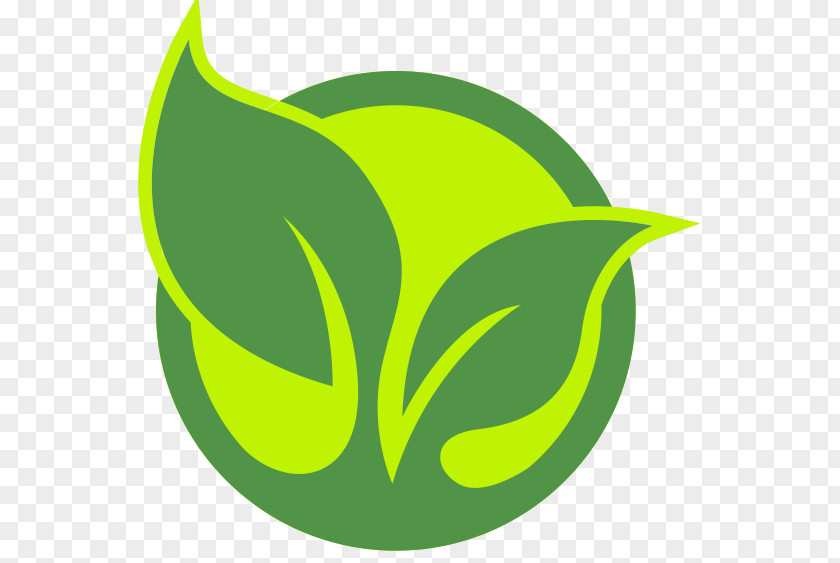 Leaf Plant Stem Line Logo Clip Art PNG