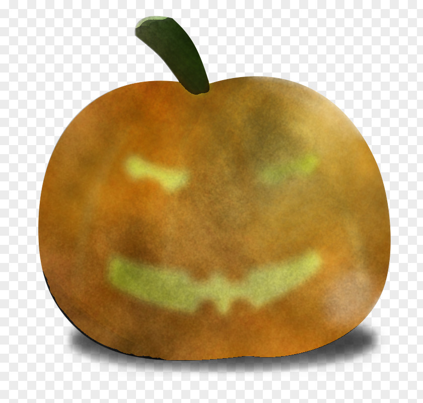 Orange PNG