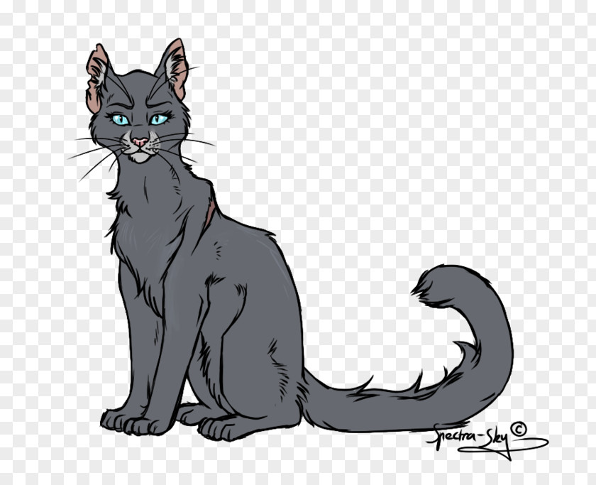 Oriental Longhair Paw Kitten Cartoon PNG