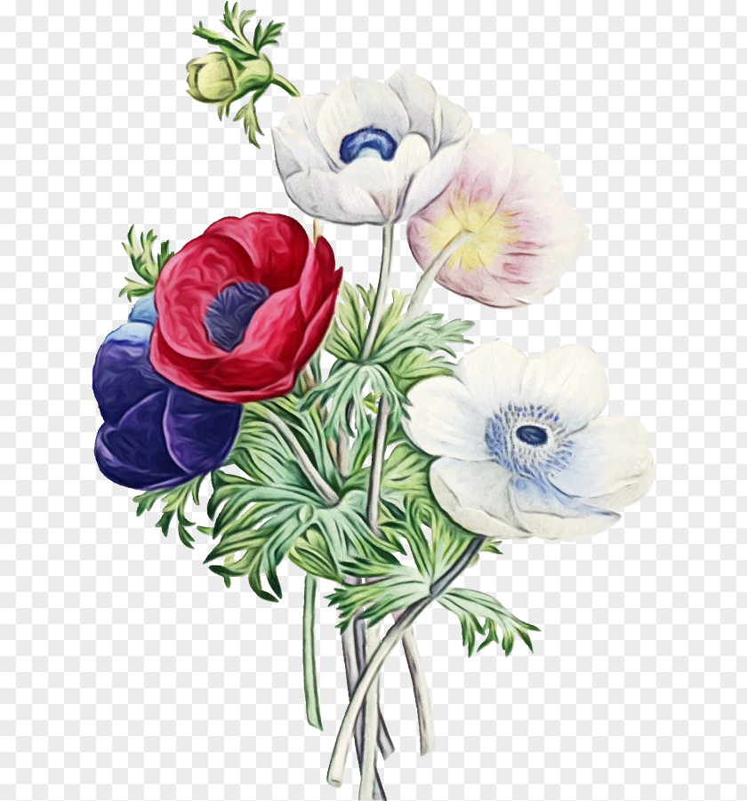 Rose Poppy Family Bouquet Of Flowers Drawing PNG
