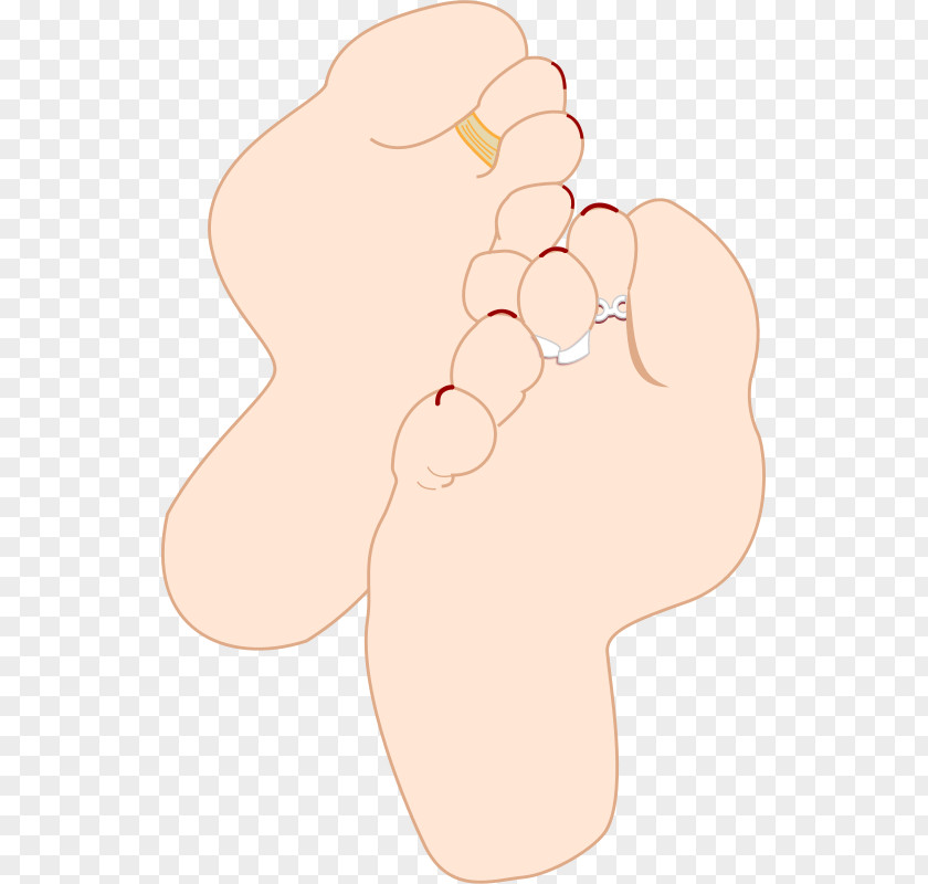 Thumb Foot Sole Clip Art PNG
