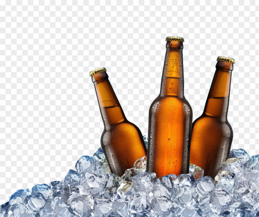 Beer PNG clipart PNG