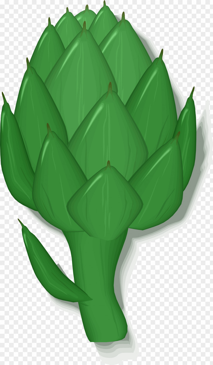 Cactus Artichoke Clip Art PNG