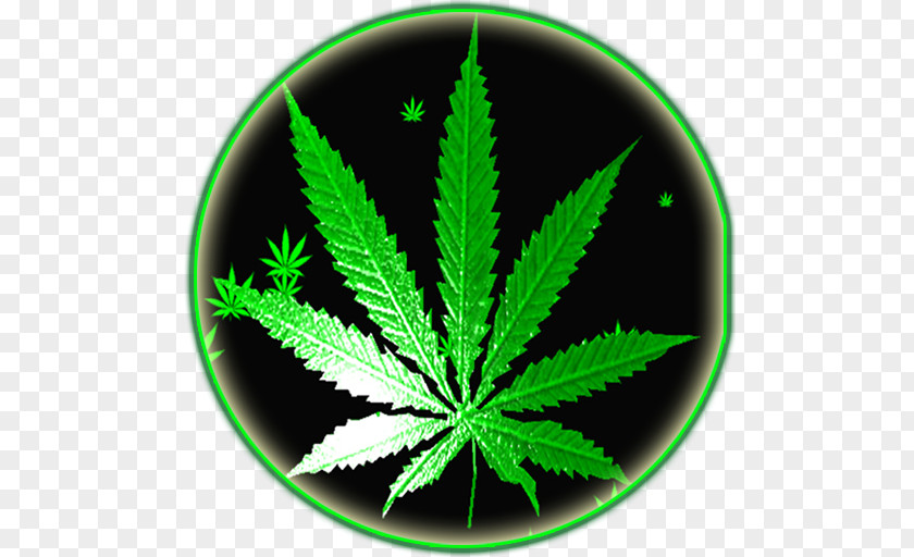 Cannabis Android Application Package Rastafari Reggae PNG