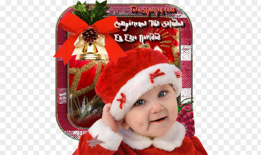 Christmas Ornament Eve Santa Claus's Reindeer PNG
