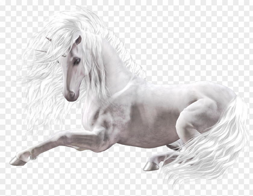 Horse Swiat Bez Ciebie Zaginiony Koni Book Unicorn PNG
