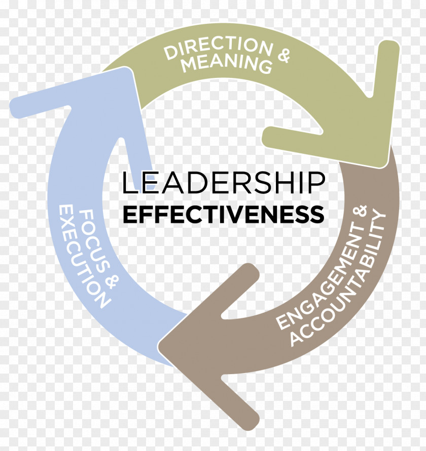 Leadership Organization Business Process Chief Executive Competence PNG