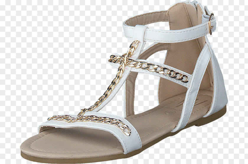 Sandal Slipper Shoe Sneakers ECCO PNG
