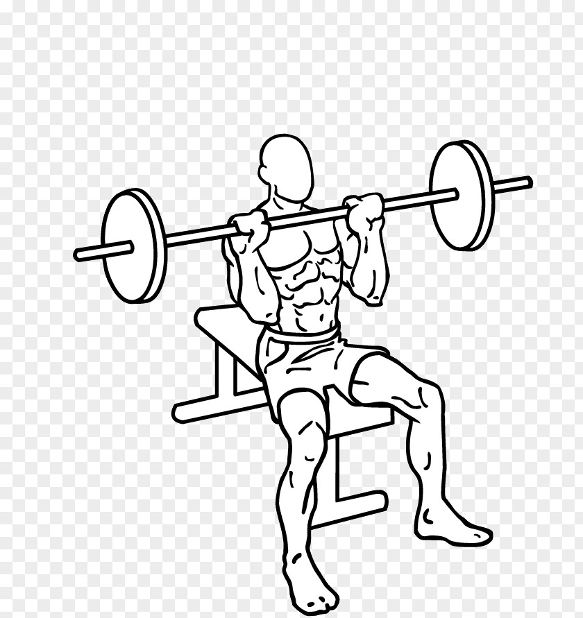 Shoulder Press Overhead Gwasg Milwrol Exercise Deltoid Muscle PNG