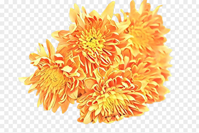 Tagetes Pollen Flowers Background PNG