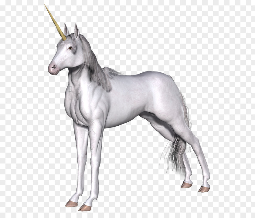 Unicorn Clip Art Legendary Creature Image PNG