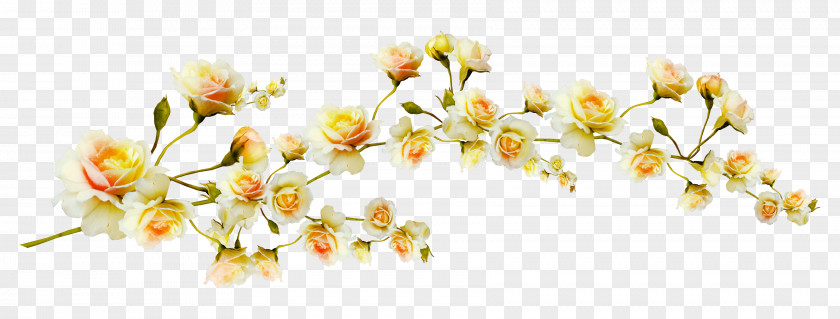 Yellow Flowers Branch Flower Clip Art PNG