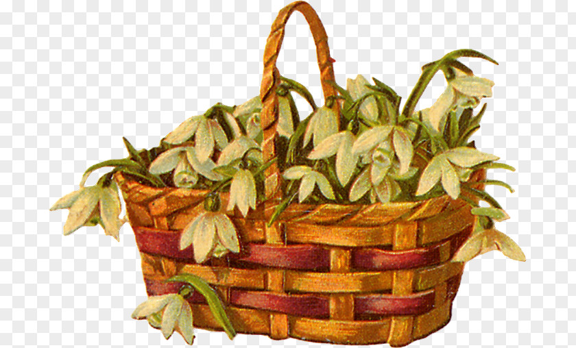 Family Genealogy Your Tree Food Gift Baskets Rhode Island PNG