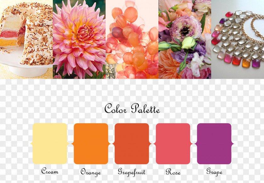 Floral Design Color Scheme Palette PNG
